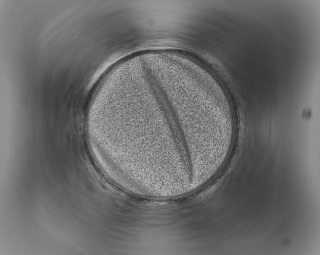 X0000110881457200907161450