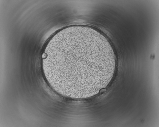 X0000110881458200907161450