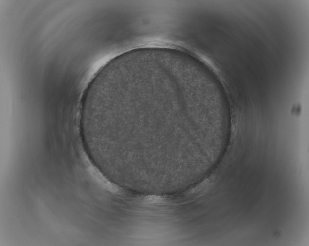 X0000110881463200907161450