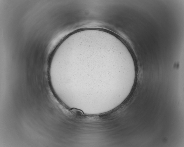 X0000110881464200907161450