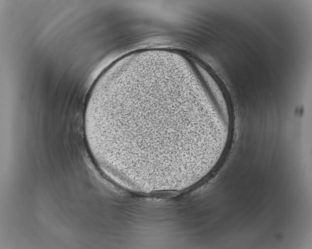 X0000110881465200907161450