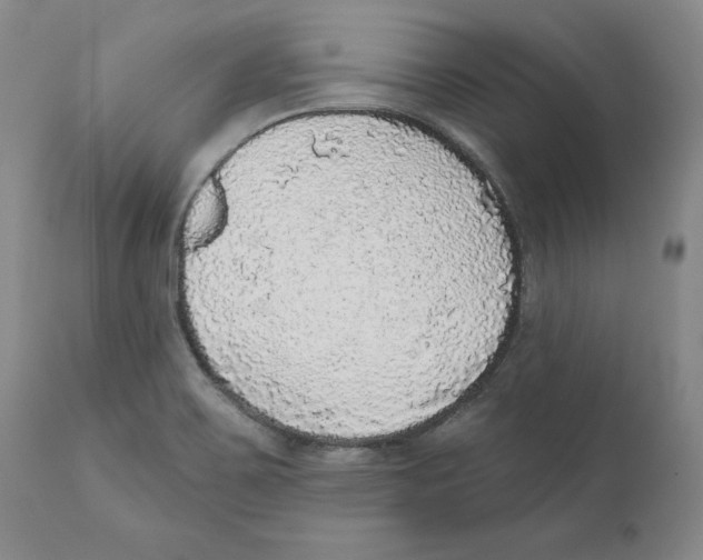 X0000110881467200907161450