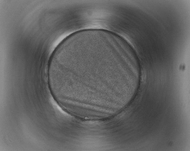 X0000110881468200907161450