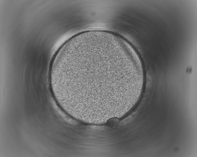 X0000110881469200907161450