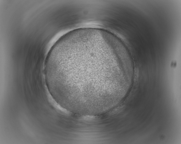 X0000110881470200907161450