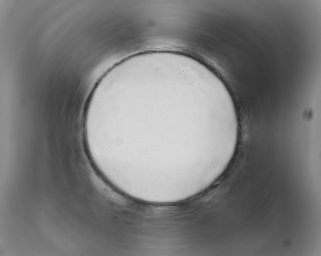 X0000110881471200907161450