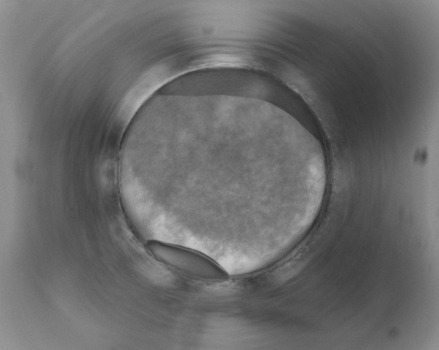 X0000110881473200907161450