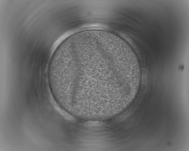 X0000110881474200907161450