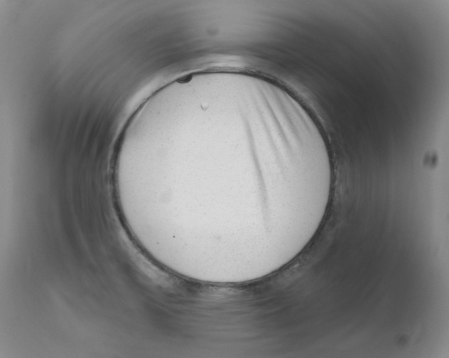 X0000110881475200907161450