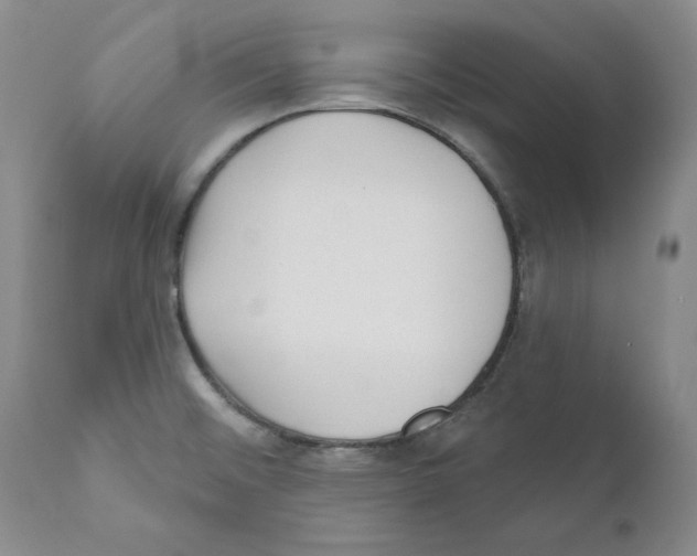 X0000110881476200907161450