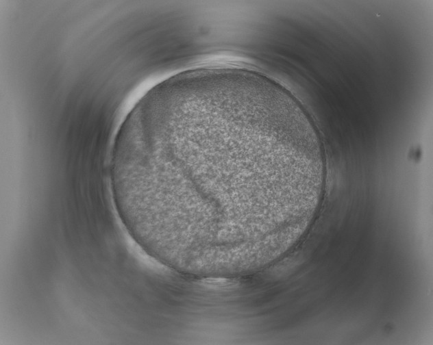 X0000110881478200907161450