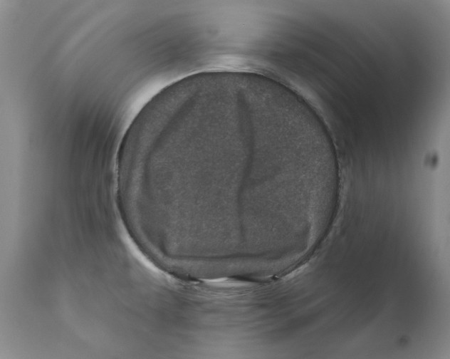 X0000110881479200907161450