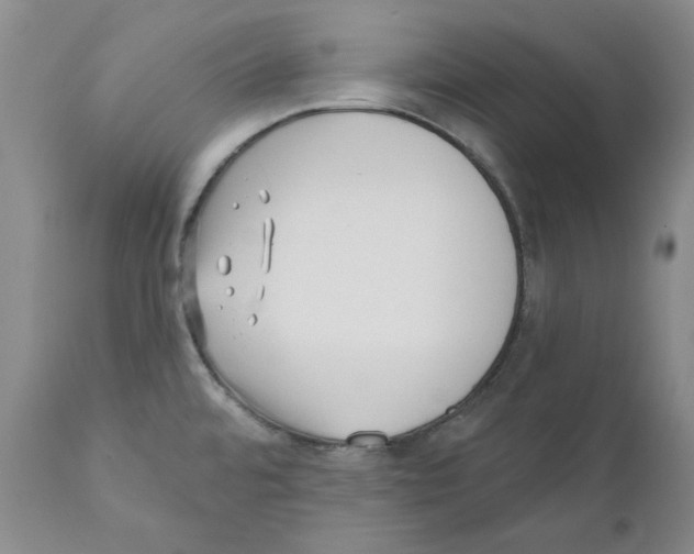 X0000110881480200907161450