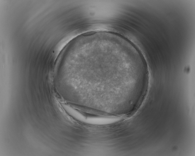 X0000110881481200907161450