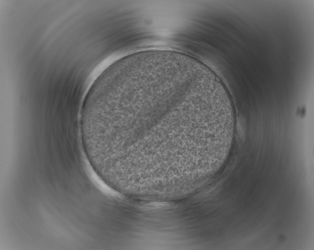 X0000110881482200907161450