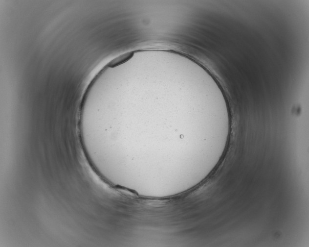 X0000110881484200907161450