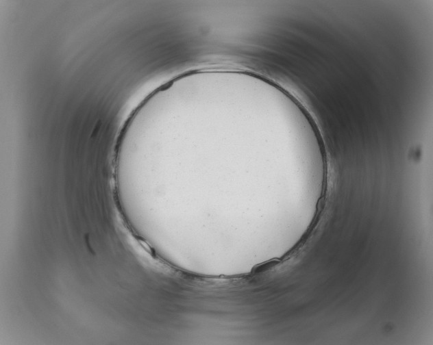 X0000110881485200907161450