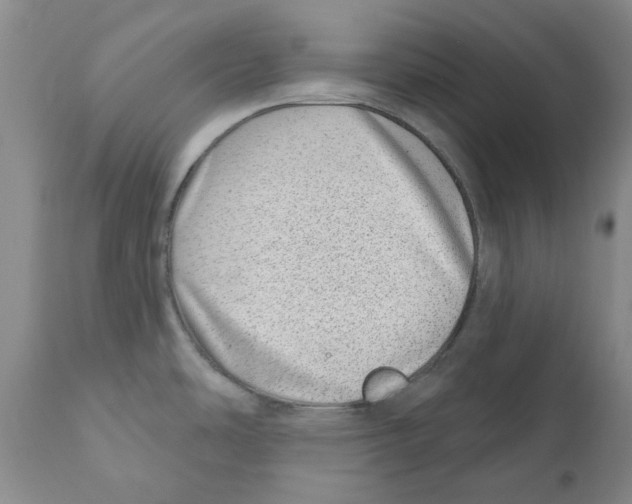 X0000110881486200907161450