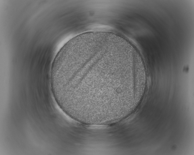 X0000110881487200907161450