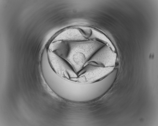 X0000110881488200907161450