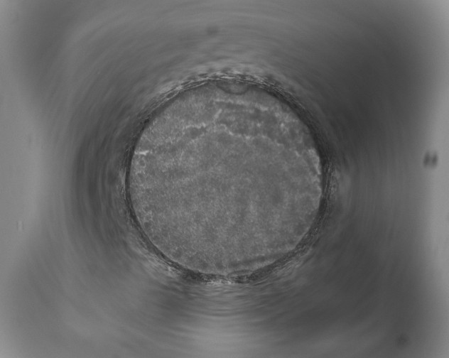 X0000110881489200907161449