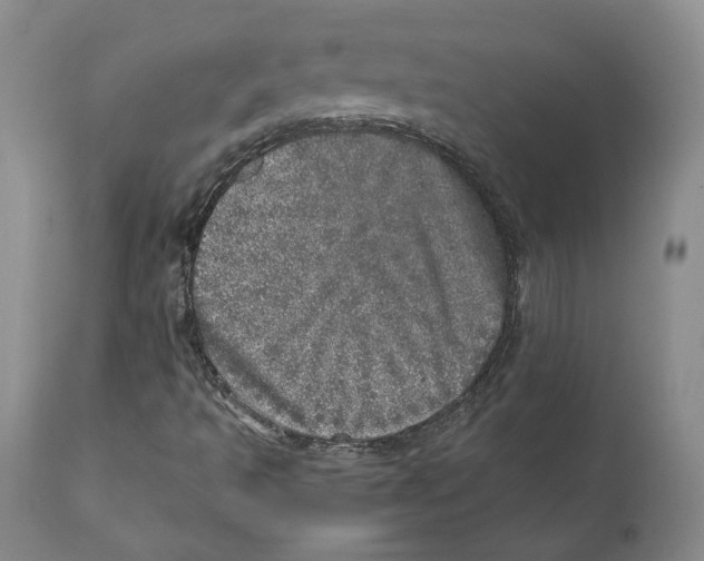 X0000110881493200907161449