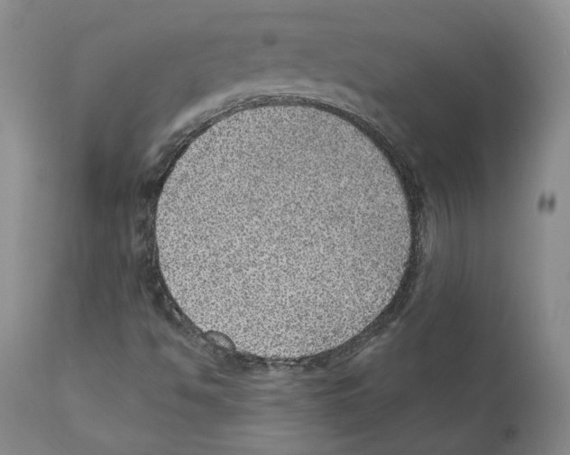 X0000110881494200907161449