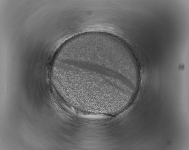 X0000110881497200907161449