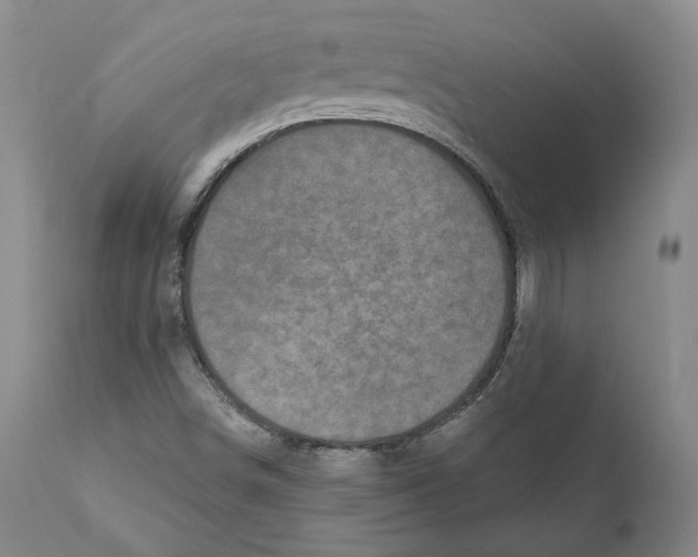 X0000110881498200907161449