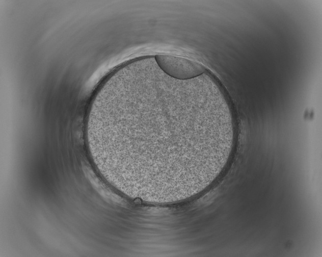 X0000110881499200907161449