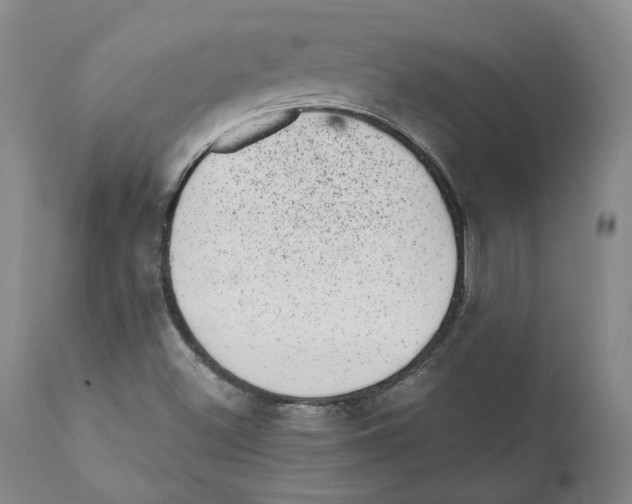 X0000110881500200907161449