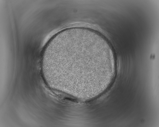 X0000110881501200907161449