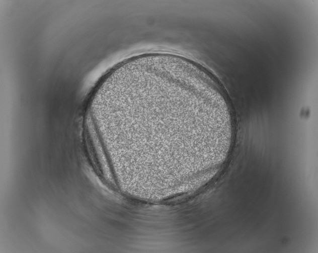 X0000110881503200907161449