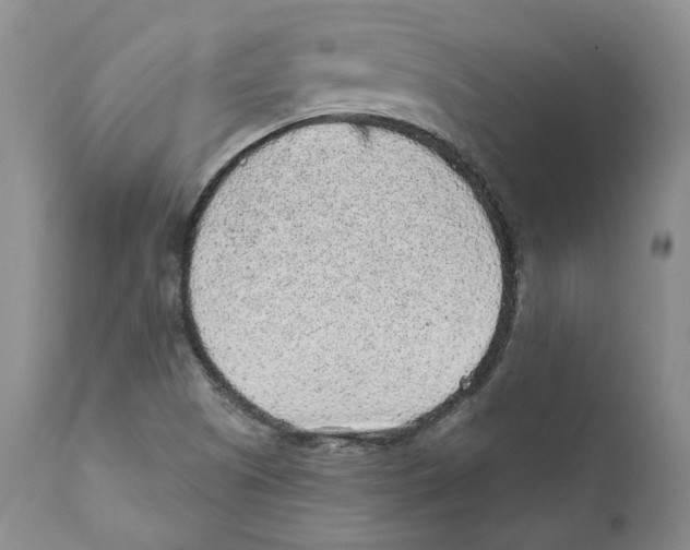 X0000110881505200907161449