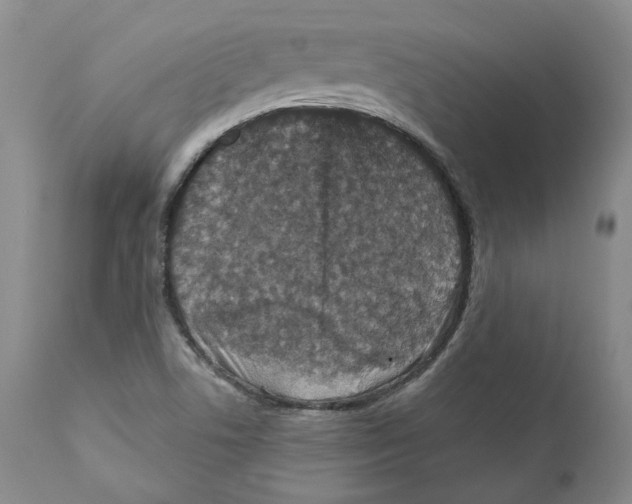 X0000110881506200907161449