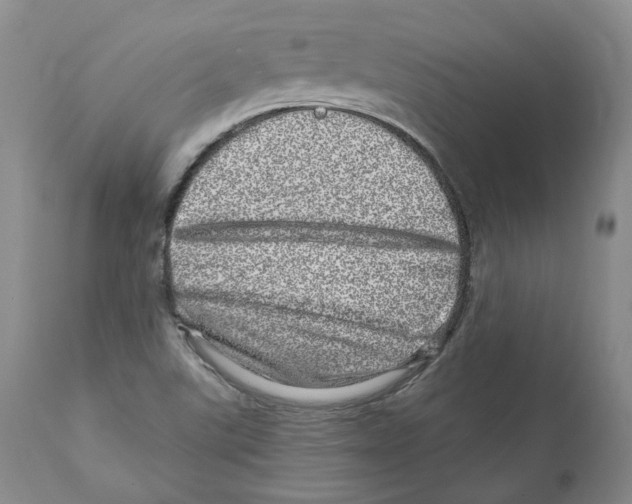 X0000110881507200907161449