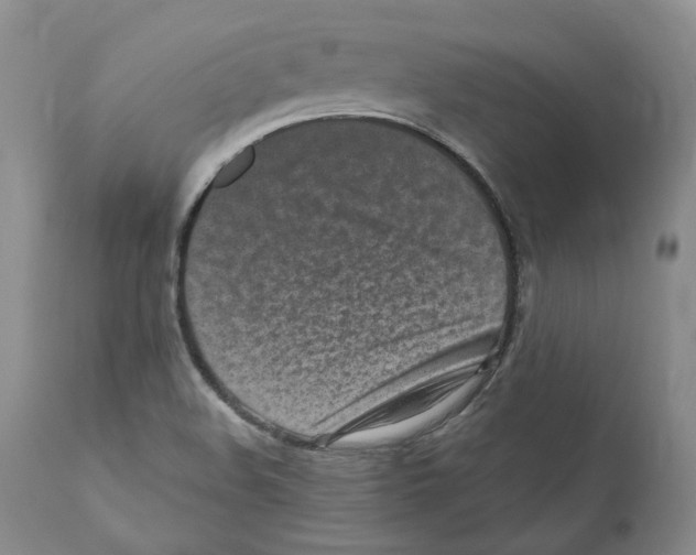 X0000110881508200907161449