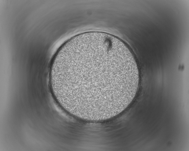 X0000110881511200907161449