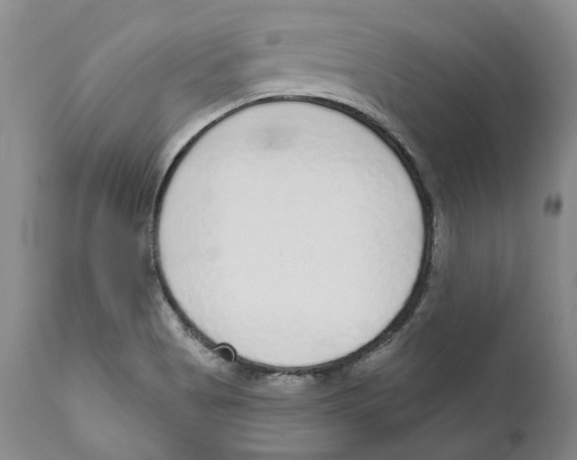 X0000110881513200907161449