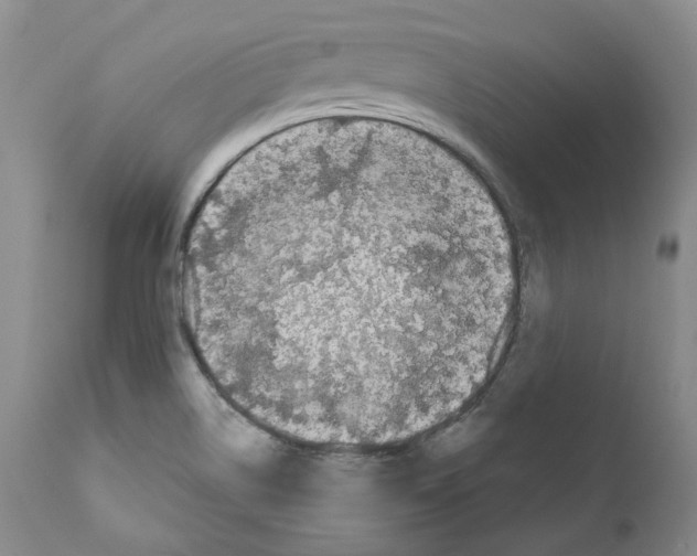 X0000110881514200907161449