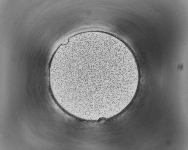 X0000110881516200907161450