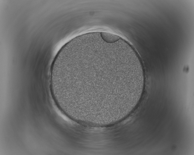 X0000110881519200907161450