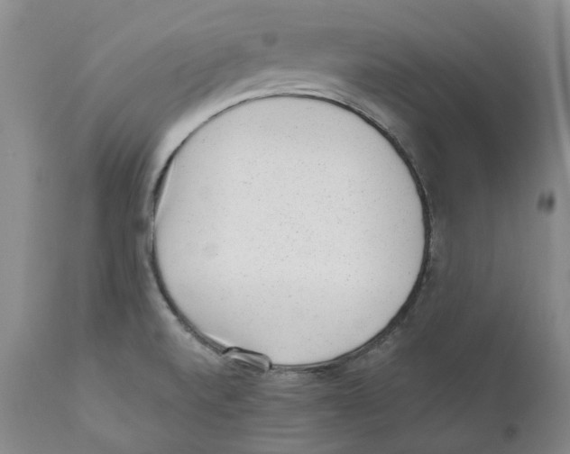 X0000110881520200907161450