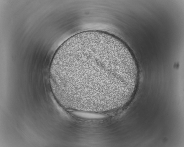 X0000110881521200907161450