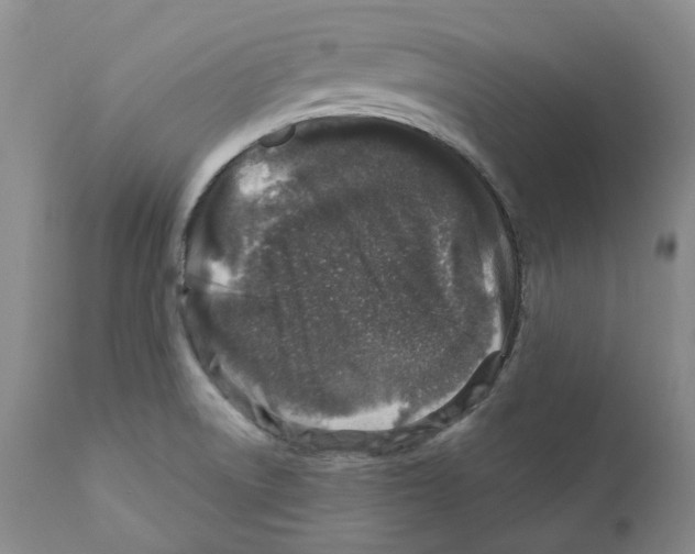 X0000110881522200907161450