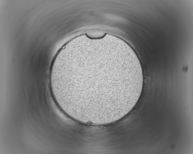 X0000110881523200907161450