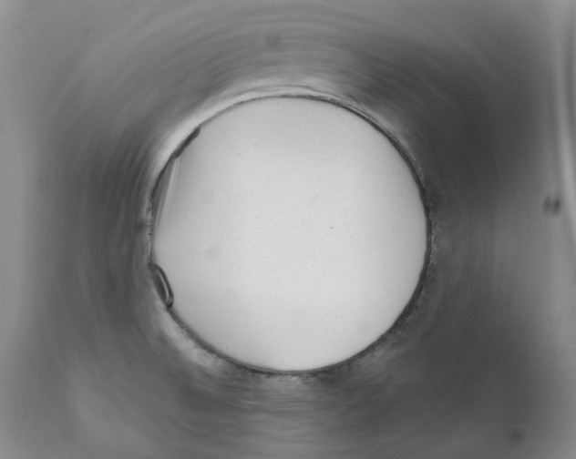 X0000110881524200907161450