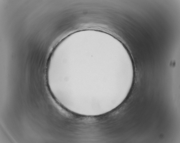 X0000110881525200907161450