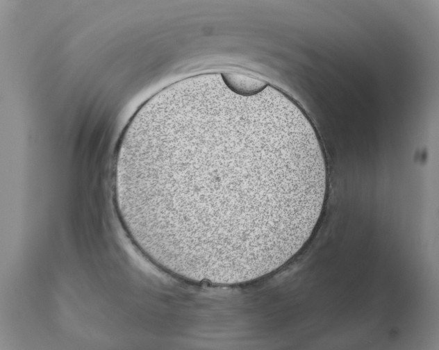 X0000110881526200907161450