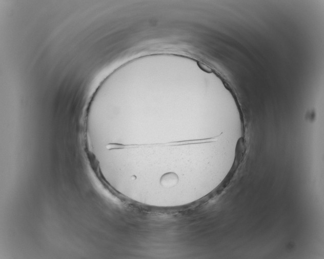 X0000110881528200907161450